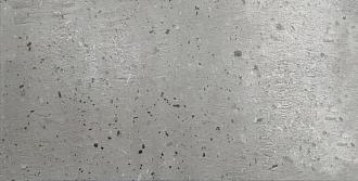 Керамогранит пол Евро-Керамика Парма PR 0022 серый матовый 60*30*9,6