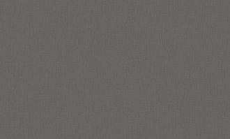 Обои Индустрия виниловые на флизелине горячего тиснения 1,06*10м 8985-06 Карнео фон /6/