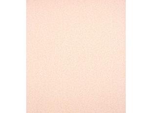 Обои AS Минск Vilia виниловые на флизелине 1,06*10м 1000-61 Кора /9/