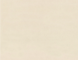 Обои ЕД виниловые на флизелине горячего тиснения 1,06*10м 8091-02 Флоренция /6/ 