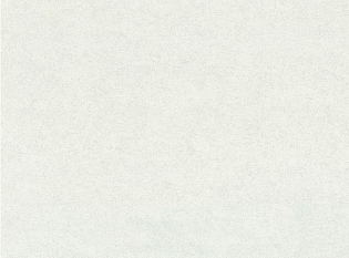 Обои ЕД виниловые на флизелине горячего тиснения 1,06*10м 7309-01 /6/