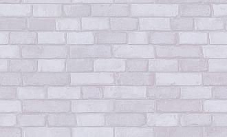 Обои Белвинил виниловые на флизелине 1,06*10м 0526-12 Реал /9/