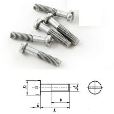 Винт 5*20/25 полуцилиндр цинк 